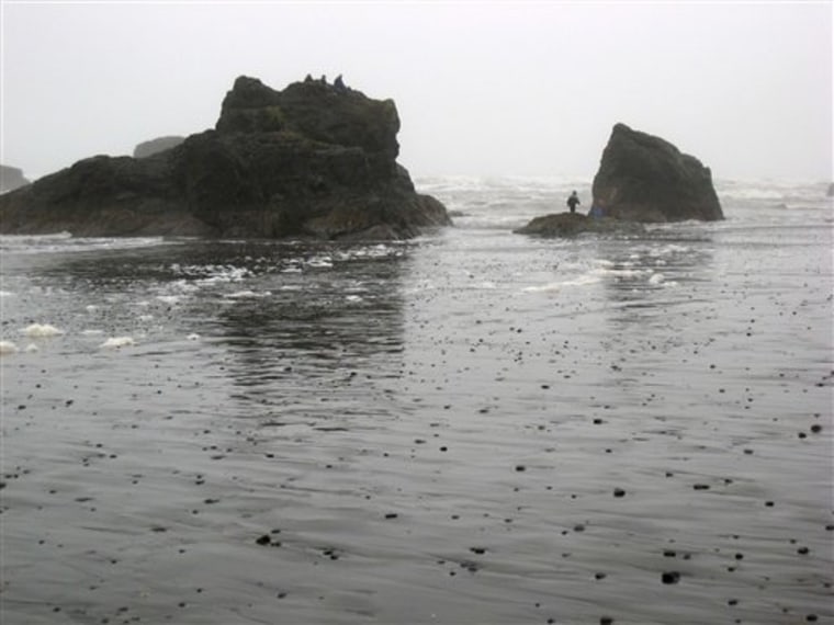 This Jan. 16, 2011 photo shows people exploring sea stacks at Ruby Beach by Kalaloch Lodge in Kalaloch, Wash.  The lodge bills itself as a winter storm-watching destination on Washington?s Olympic Peninsula from mid-October through mid-March.     (AP Photo/Jessica Mintz)